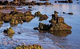 Playa Y Cañas